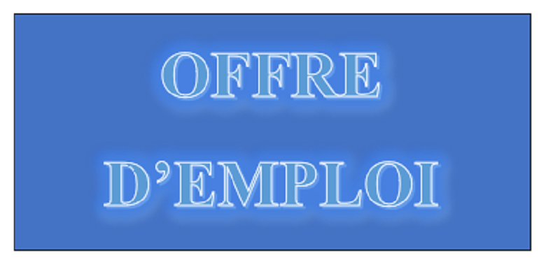 OFFRES D’EMPLOI 